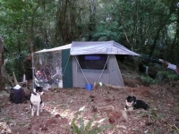Camps
