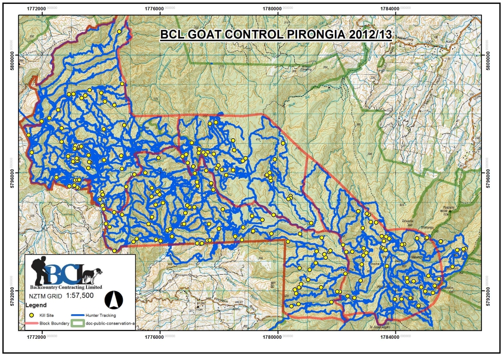 Pirongia Kill Map 2013a